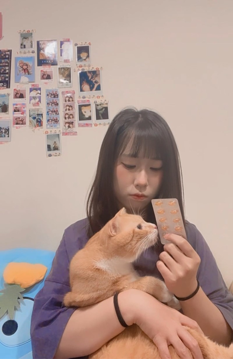 試用